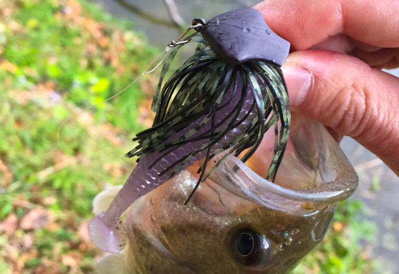 オーエスピー ドライブシャッド 3 5インチ O S P Doliveshad 3 5in Grassy Fishing